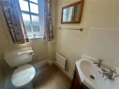 Picture 13